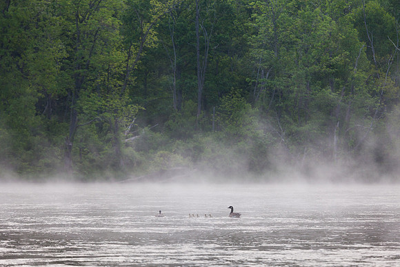 New River Trail State Park