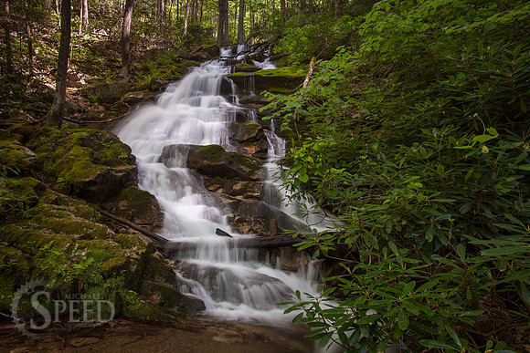 Grayson Highlands State Park