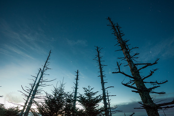Grayson Highlands State Park