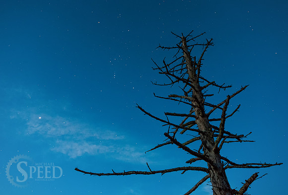 Grayson Highlands State Park