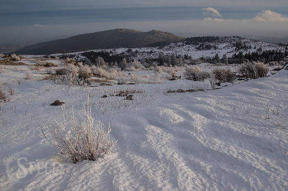 Grayson Highlands Winter