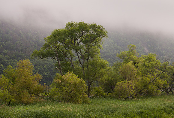 New River Trail State Park