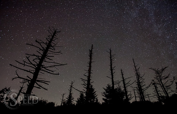 Grayson Highlands State Park