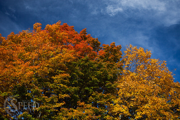 Grayson Highlands State Park