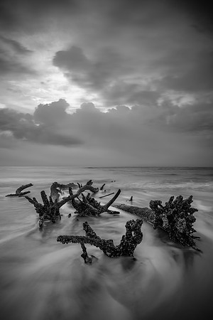 Hunting Island Boneyard