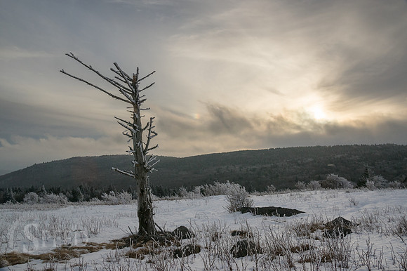 Grayson Highlands Winter