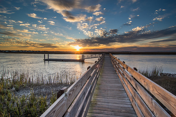 Edisto Island Beach and State Park