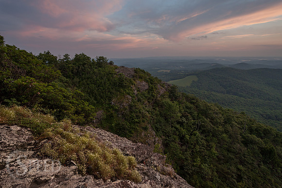 Buffalo Mountain Nature Preserve