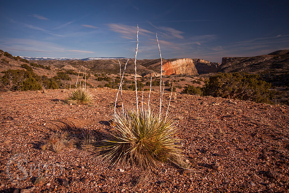 big horn canyon