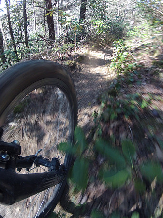 New River Trail State Park