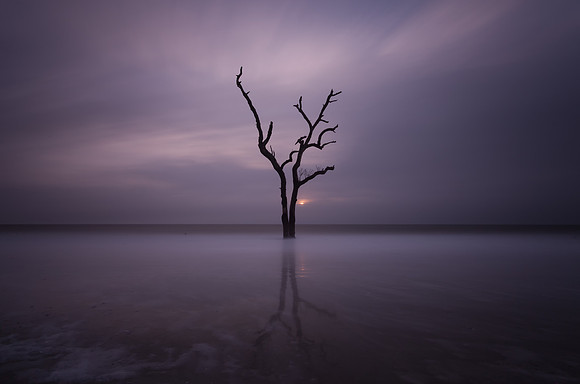Hunting Island Boneyard