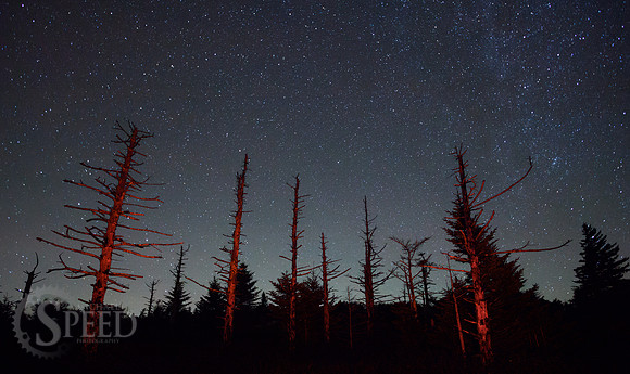 Grayson Highlands State Park