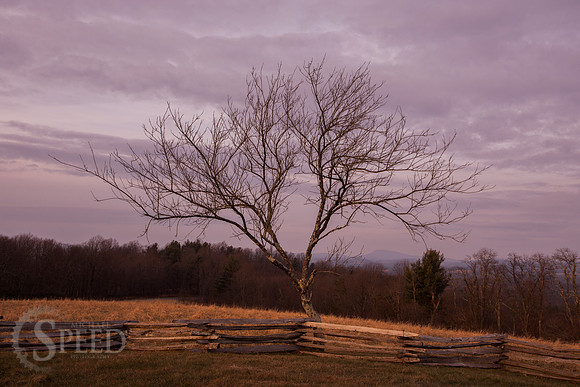 Groundhog Mountain