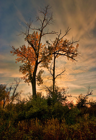 Billings Montana