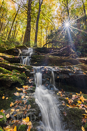 virginia fall color