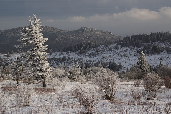 Grayson Highlands Winter