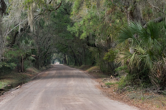 Edisto Island Beach and State Park