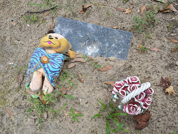 Savannah graveyard