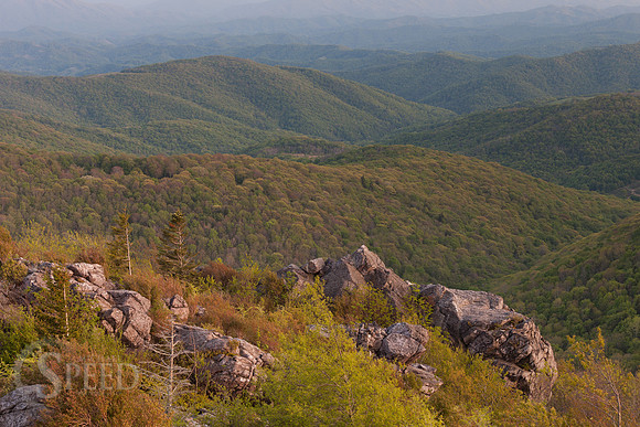 Grayson Highlands State Park