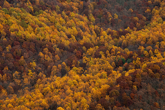 Rocky Knob Recreation Area