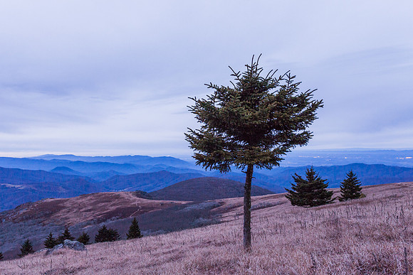 WhiteTop Mountain