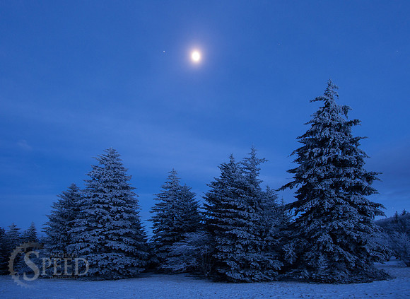 Grayson Highlands State Park