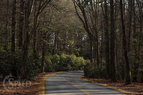 blue ridge music center area