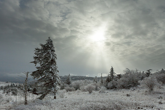 Grayson Highlands State Park