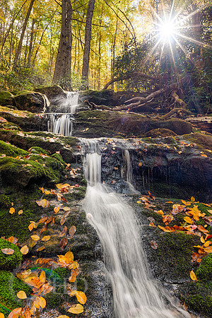 virginia fall color