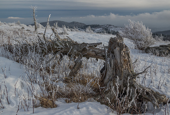 Grayson Highlands Winter