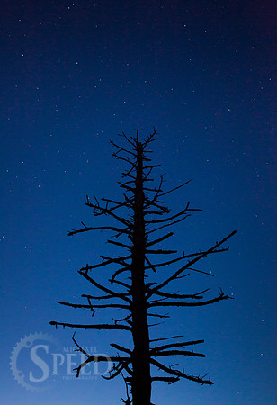 Grayson Highlands State Park