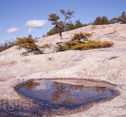 Stone Mountain State Park