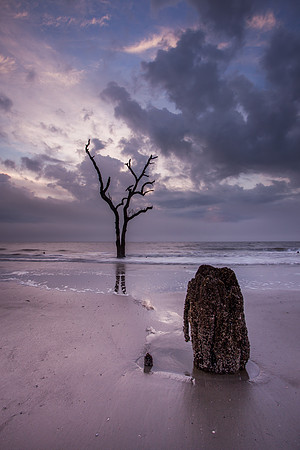 Hunting Island Boneyard