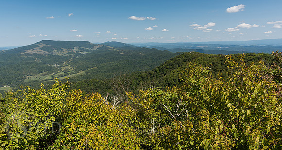 The Channels of Virginia