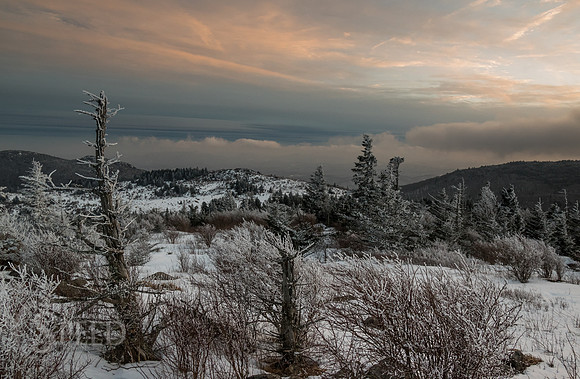 Grayson Highlands Winter