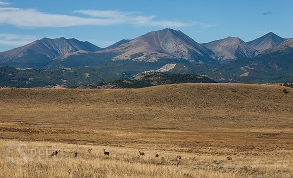 Crazy Mountain Range of Montana