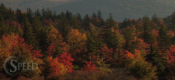 Grayson Highlands State Park