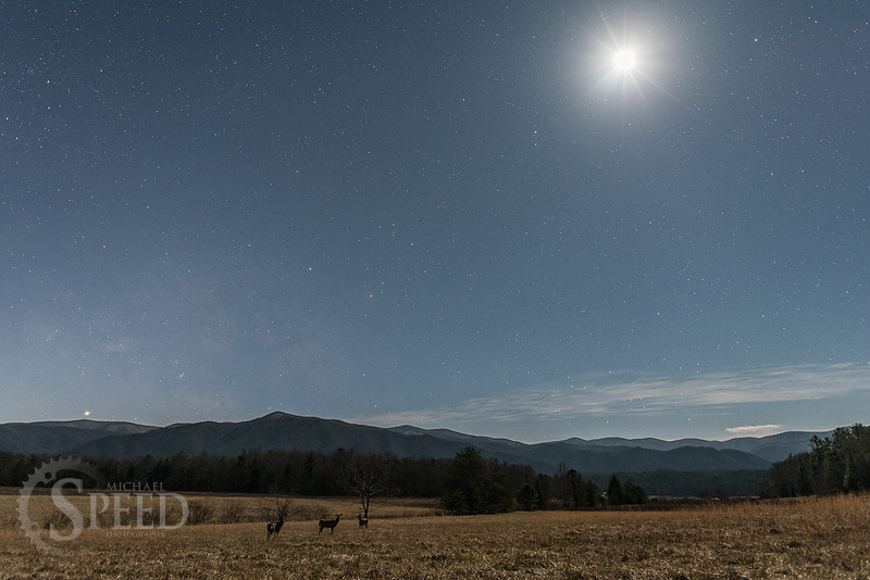 Michael Speed Great Smoky Mountains Night Photography